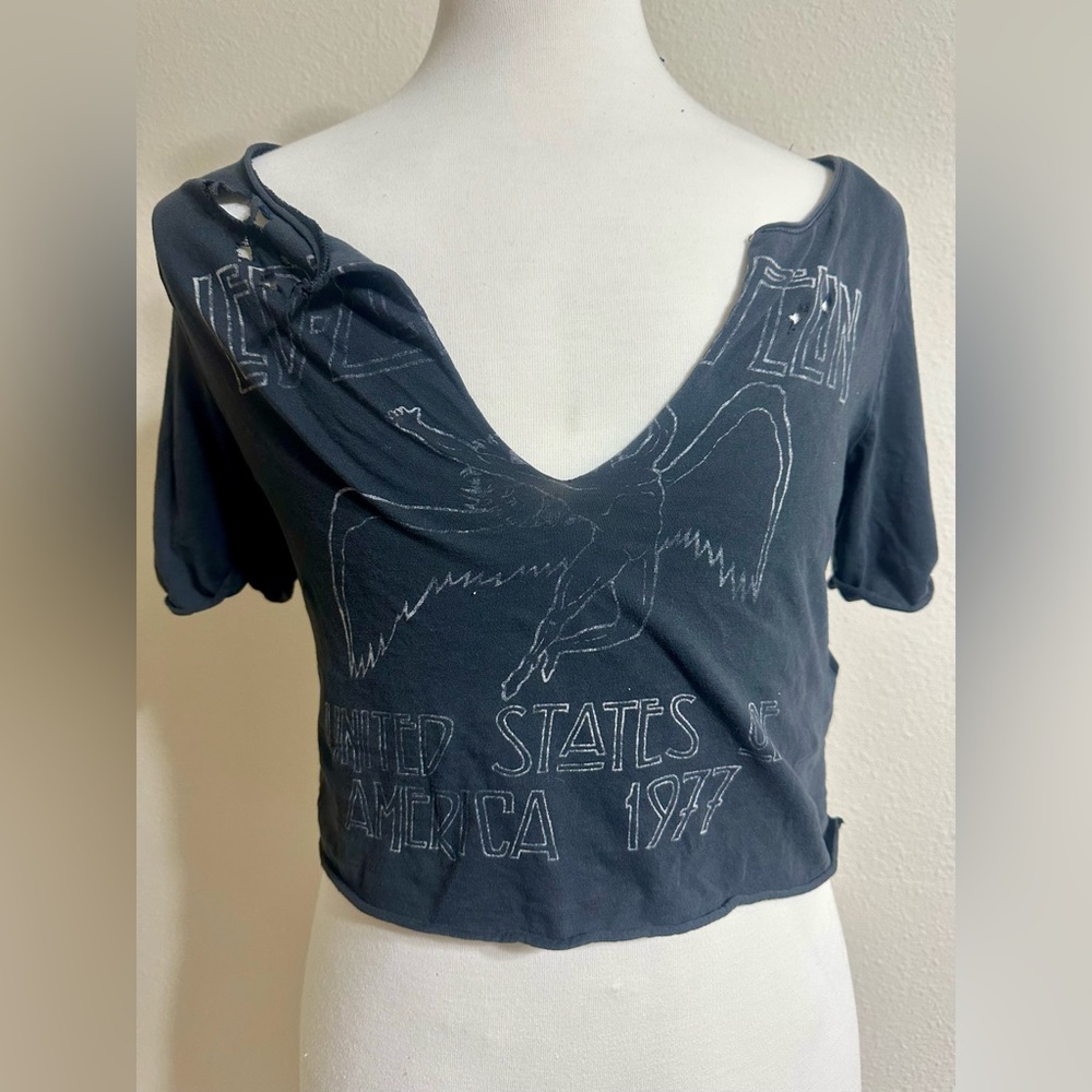 Cropped distressed rock T